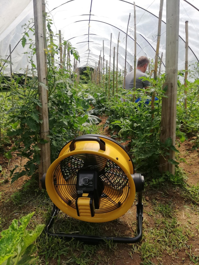 Wentylator Master DFB 16