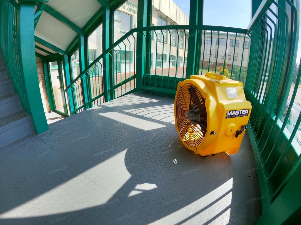 Wentylator Master DFX 20